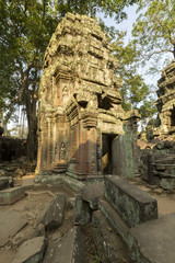 Ta Prohm, ancient temple in jungle forest in Angkor, Cambodia