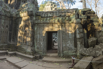 Fototapeta na wymiar Ta Prohm, ancient temple in jungle forest in Angkor, Cambodia