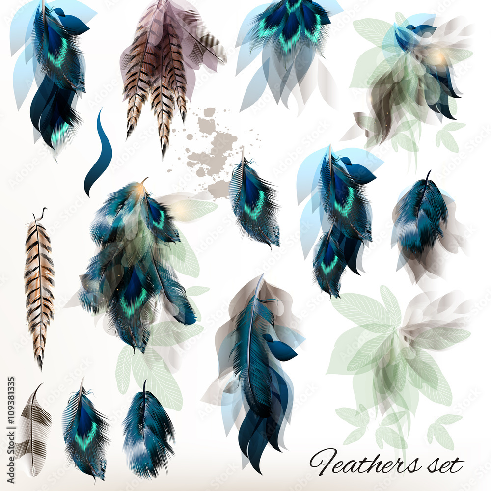 Poster set of vector realistic colorful feathers