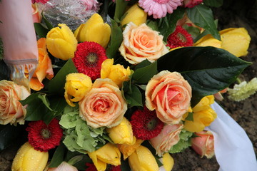 Blüten der Trauer im Frühling