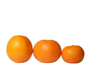 three citrus fruit
