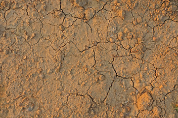 Orange or yellow cracked land in the morning.