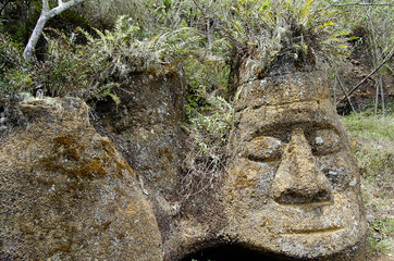 Rock Carving - Floreana Island - Galapagos