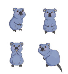 A set of cute cartoon smiling quokka animals in various poses, sitting, eating, front and back. Decorations for parties and design elements.