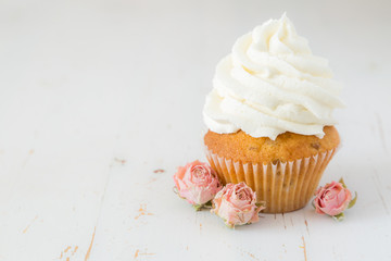 Vanilla cupcakes on white wood background