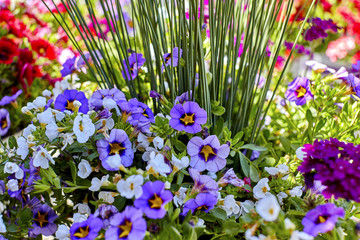 Landscaping Floral Arrangment with Assorted Flowers