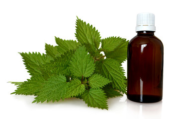 Stinging nettle essential oil or tincture in a bottle isolated on white background