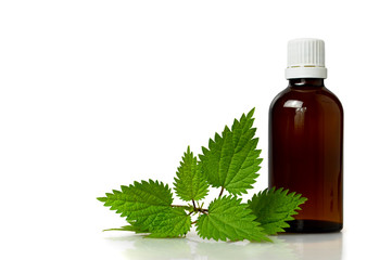 Stinging nettle essential oil or tincture isolated on white background