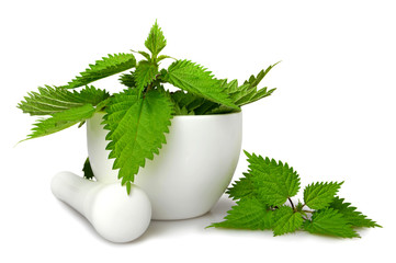 Fresh nettle in a mortar isolated on white