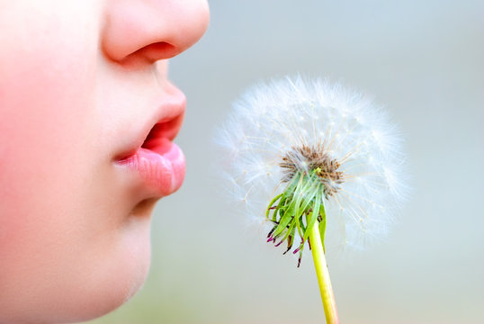 Boy Blowing On Dandelion