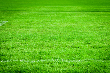 green grass texture background