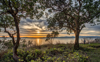 A Man and his Dogs Pause to take in the Setting Sun and Coastline while on their Evening Walk in...