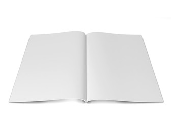 Open magazine or brochure