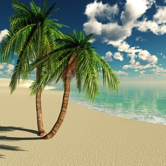 Naklejka na ściany i meble tropical beach, sea beach with palm trees, coconut palms on the beach 3D rendering