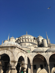 Fototapeta na wymiar Looking at sky in front of Blue Mosque in Istanbul
