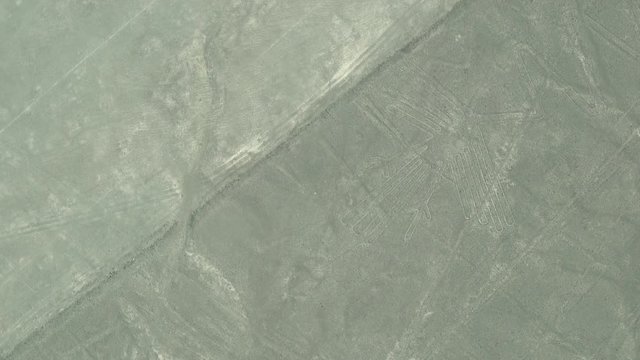 Fly over The Heron one of the figure of Nazca Lines in Peru