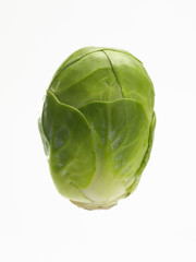 Fototapeta premium brussels sprout