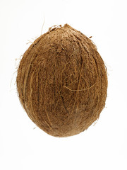 coconut