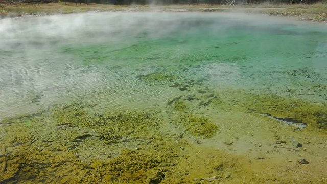 Mist blows from a vividly colorful geothermal hot spring in Yellowstone National Park.