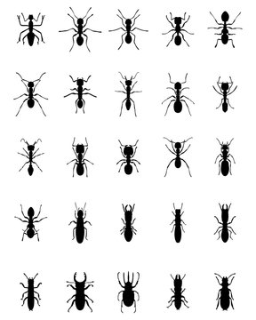 Black silhouettes of ants and termites, vector