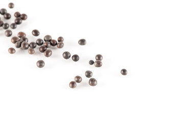 Bellevalia Romana Seeds