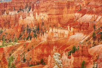 Bryce Canyon National Park, Utah, USA