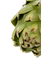 artichoke up close