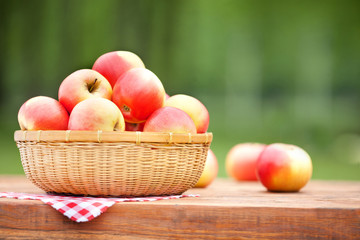 Red and Yellow Apples in the Basket