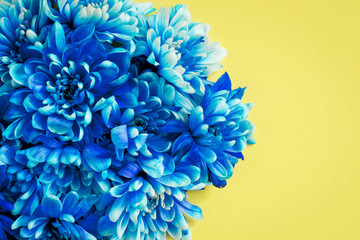 Vibrant floral background