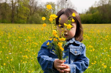 Süßes Mädchen pflückt Blumen