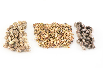 Seeds mix on white background