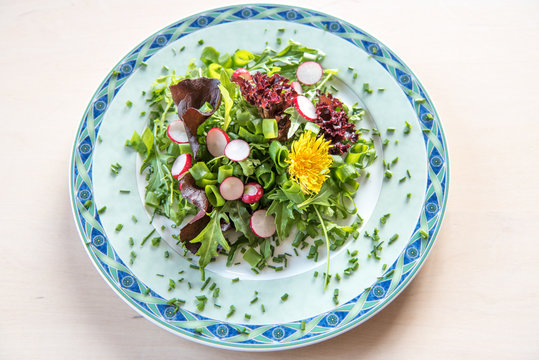 Frühlingssalat aus verschiedenen Blattsalaten garniert mit Schnittlauch