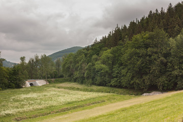 Dry reservoir Okrajnik on the river Kaczawa in Kaczorow. Poland, Lower Silesia Region. The month of June.