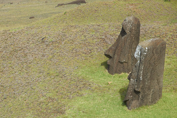 Rano Raraku. Abandoned and partially buried statues on the slopes of the extinct volcano which was the quarry from which the Moai statues of Rapa Nui (Easter Island) were carved.
