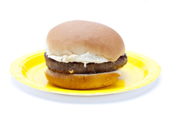view of a burger served in plate.