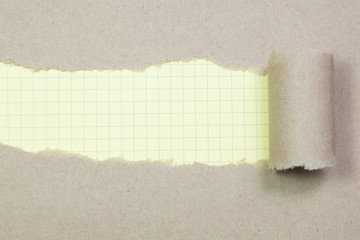 Blank torn paper with copy-space.