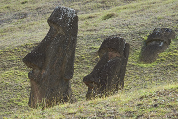 Rano Raraku. Abandoned and partially buried statues on the slopes of the extinct volcano which was the quarry from which the Moai statues of Rapa Nui (Easter Island) were carved.