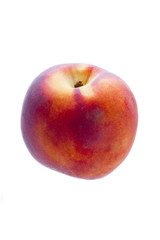 close-up of a apricot.