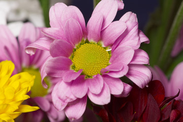 a bouquet of wildflowers