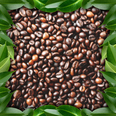 Frame made of coffee beans and green fresh leaves