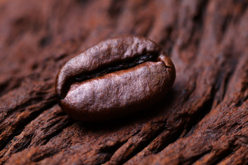 Roasted detailed tasty coffee bean with natural wooden background.
