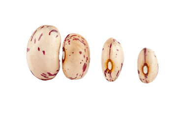four kidney beans.