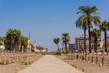 Avenue of the Sphinxes, Egypt