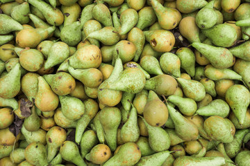 Green pears.  Fresh pears