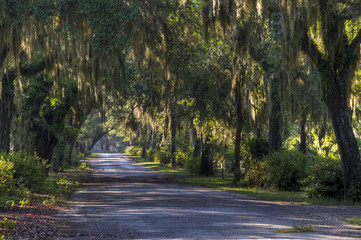 Bonaventure Cemetery, Savannah