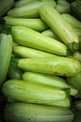 Fresh green zucchini. Zucchini background