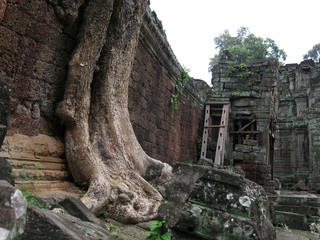 Obraz premium Preah Kahn temple, Cambodia 