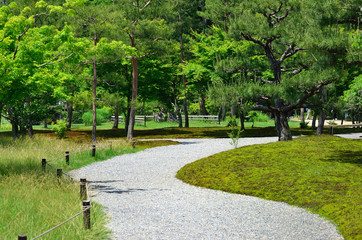 Fototapeta na wymiar Japanese garden in Kyoto, Japan.
