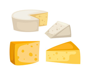 Cheese slices isolated vector