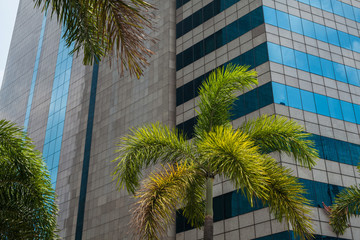 Fototapeta na wymiar Modern business skyscrapers in financial district